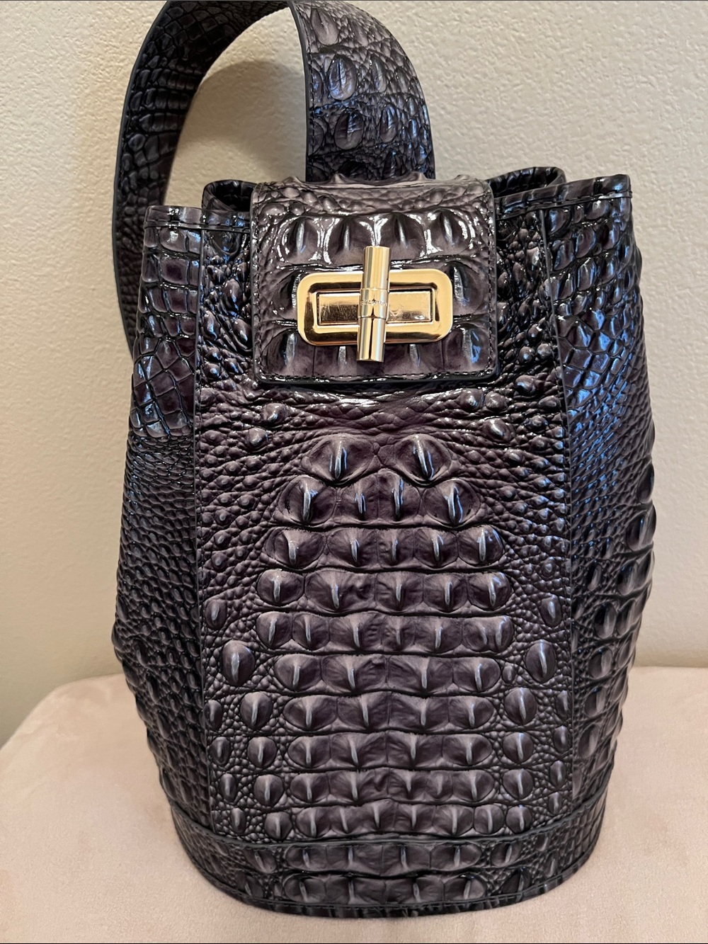 Brahmin Maddie